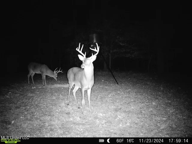 $470,000 | 52 Ogden Road, Natchez, MS 39120