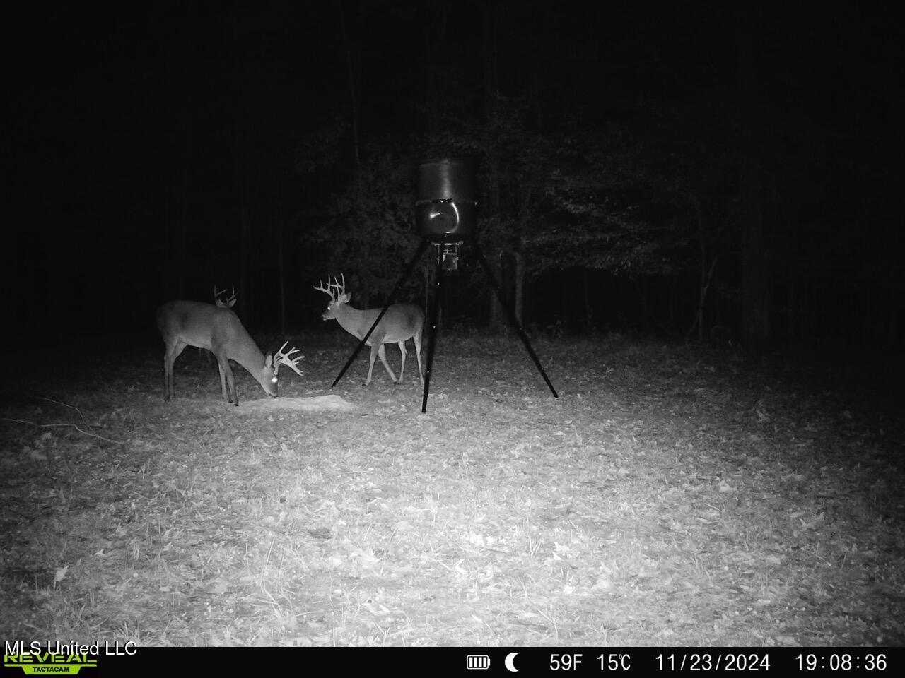 52 Ogden Road Natchez, MS 39120 - Photo 49 of 52 SYFW4525 Large