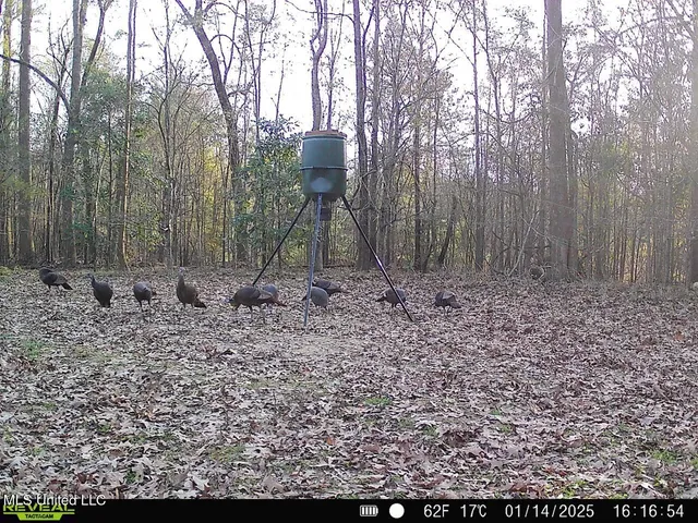 $470,000 | 52 Ogden Road, Natchez, MS 39120