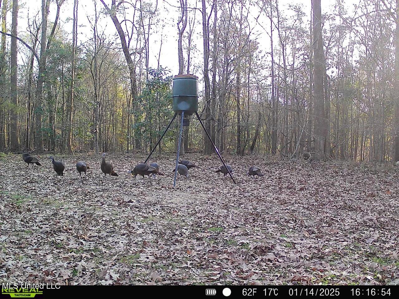 52 Ogden Road Natchez, MS 39120 - Photo 50 of 52 SYFW6182 Large
