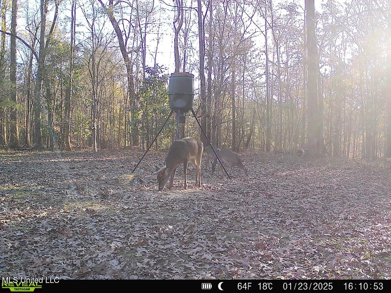 52 Ogden Road Natchez, MS 39120 - Photo 51 of 52 SYFW7016 Large