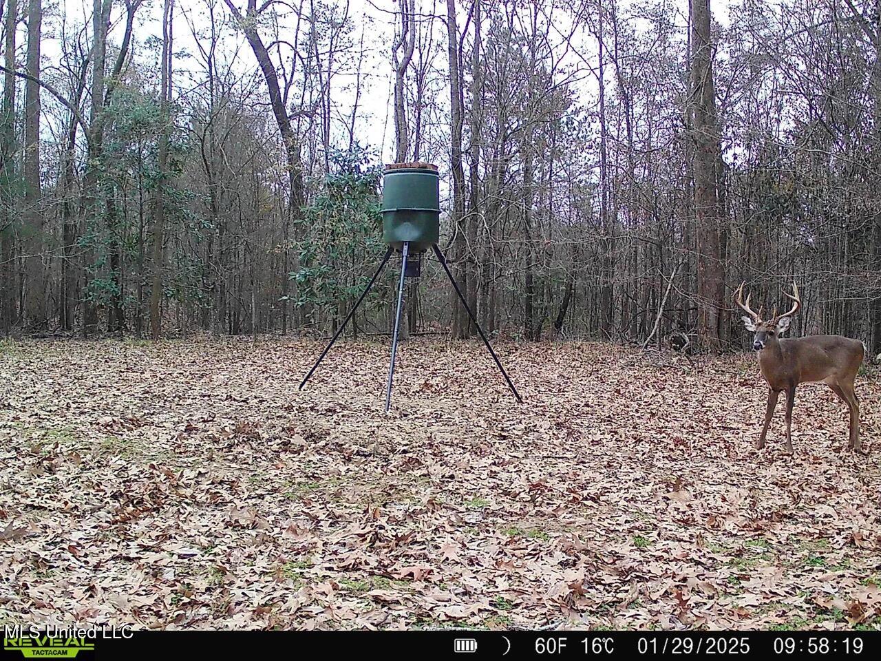 52 Ogden Road Natchez, MS 39120 - Photo 52 of 52 SYFW8261 Large