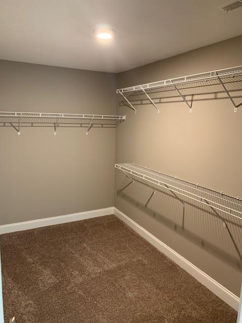 100 Juniperberry Road, Unit LOT 608 Oak Ridge, TN 37830 - Photo 10 of 24 Master Walk In Closet