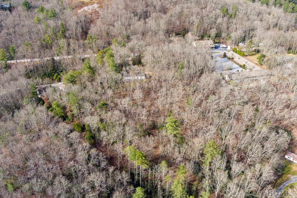 Tbd Russell Ridge Highlands, NC 28741 - Photo 7 of 8 Gallery Image 7