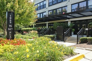 1069 West 14th Place, Unit 123 Chicago, IL 60608 - Photo 1 of 20 a view of street along with trees