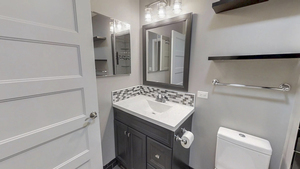 1069 West 14th Place, Unit 123 Chicago, IL 60608 - Photo 17 of 20 a bathroom with a sink a toilet and shower