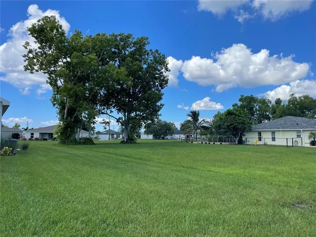 a view of a big yard with plants and large trees
