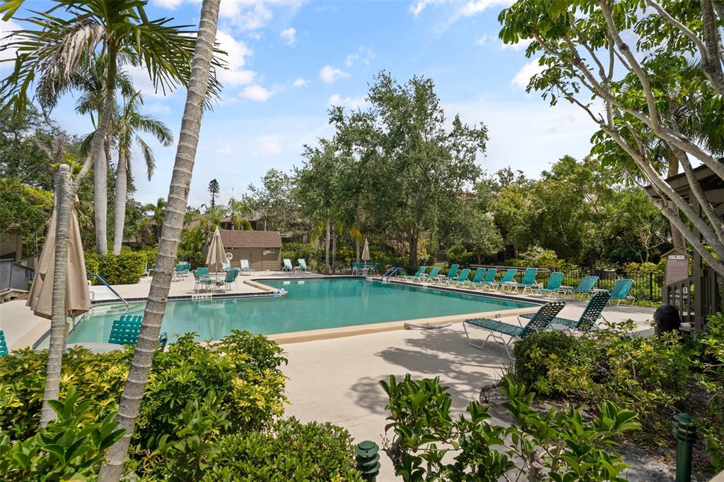 1703 Pelican Cove Road, Unit 356 Sarasota, FL 34231 - Photo 49 of 51 a view of a yard with swimming pool