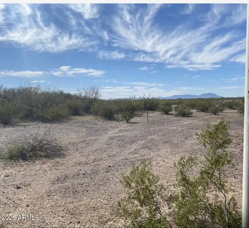 a view of a dry yard with wooden fence