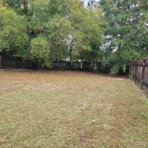 a view of a yard with trees