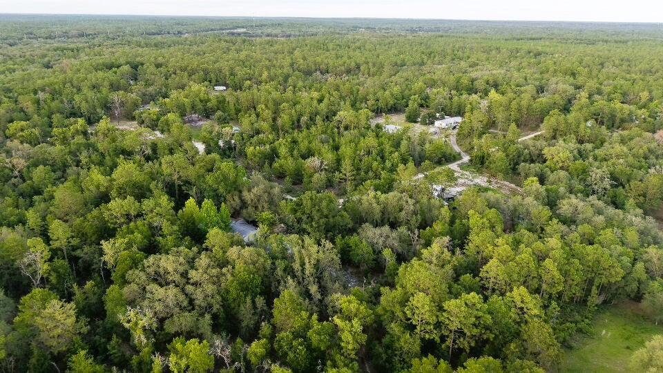 121 Susan Road Hawthorne, FL 32640 - Photo 11 of 20 11