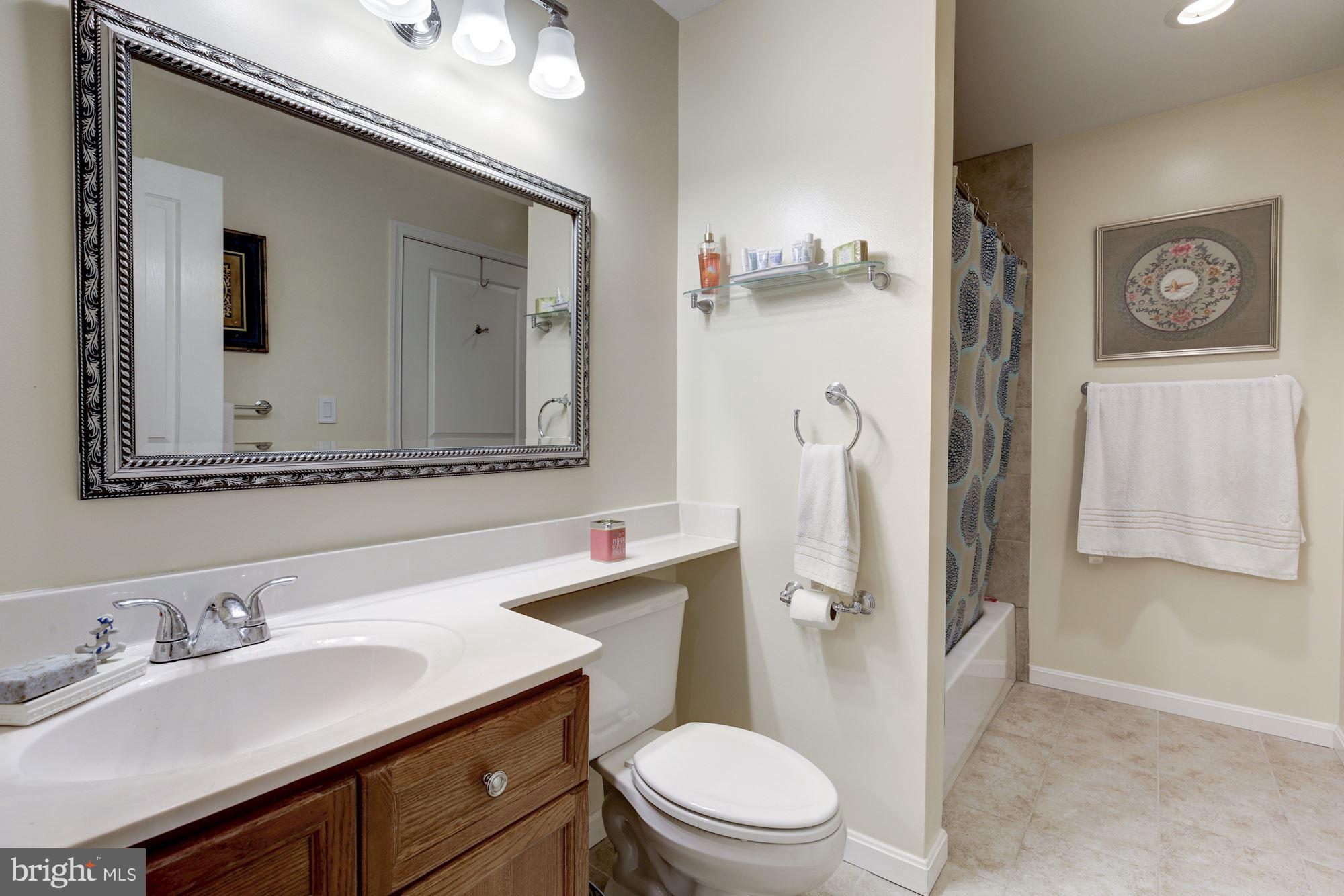 5575 Seminary Road, Unit 308 Falls Church, VA 22041 - Photo 16 of 25 Bath (Master)-dual entry