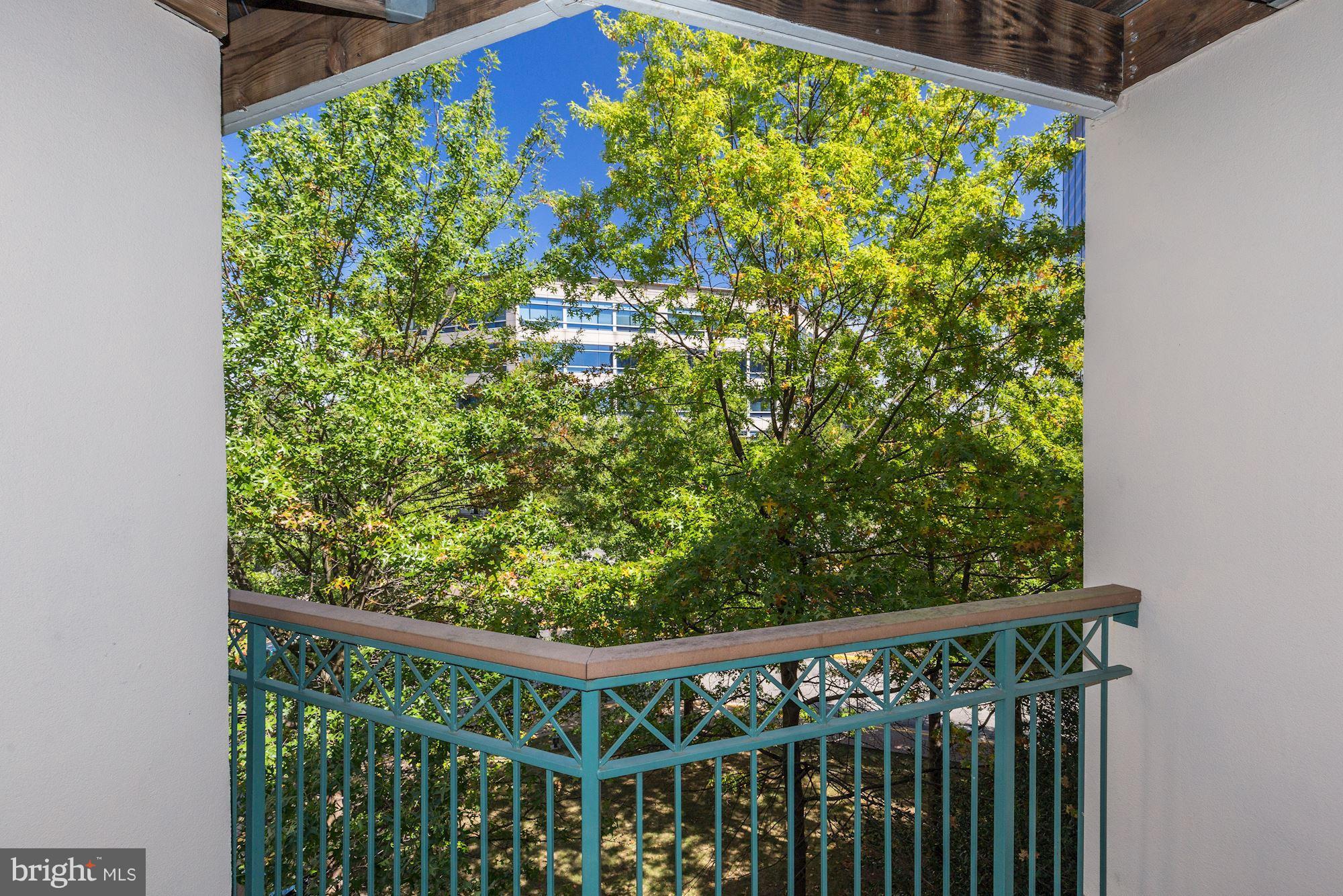 5575 Seminary Road, Unit 308 Falls Church, VA 22041 - Photo 18 of 25 Treetop view