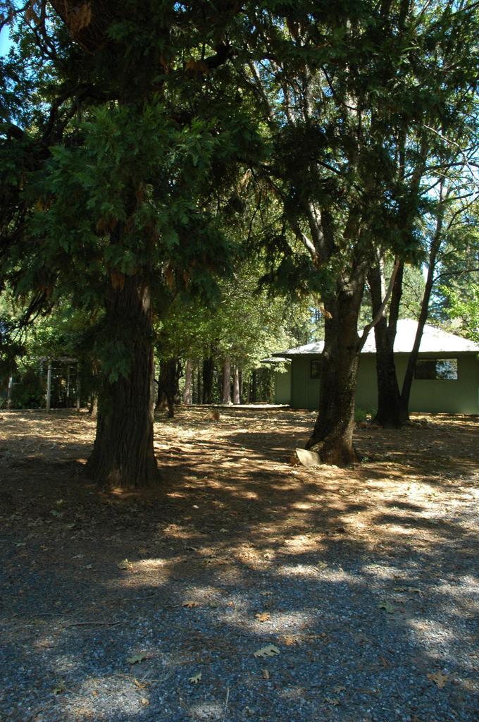 15278 Peyho Ranch Road Oak Run, CA 96069 - Photo 24 of 32 2/2 home