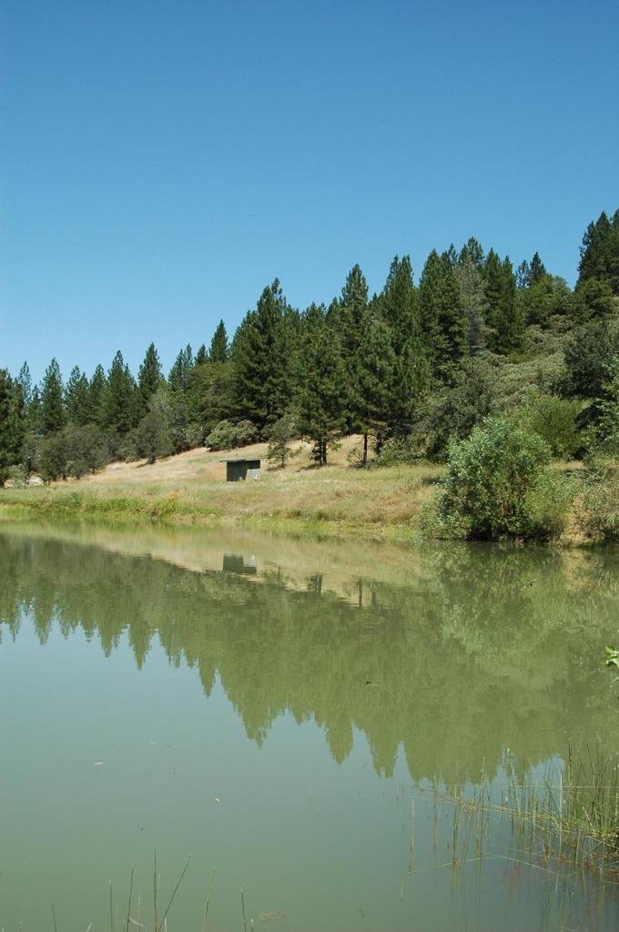 pond