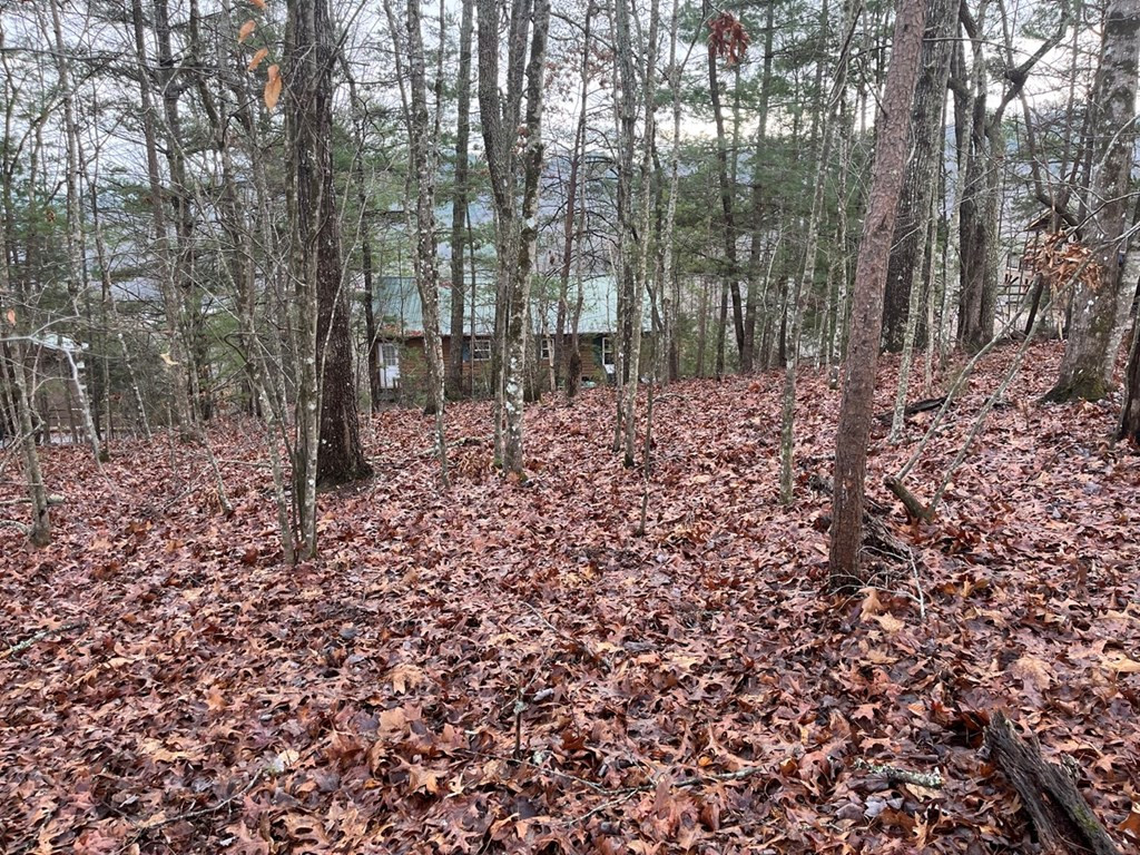 1033 Cardinal Road Murphy, NC 28906 - Photo 3 of 6