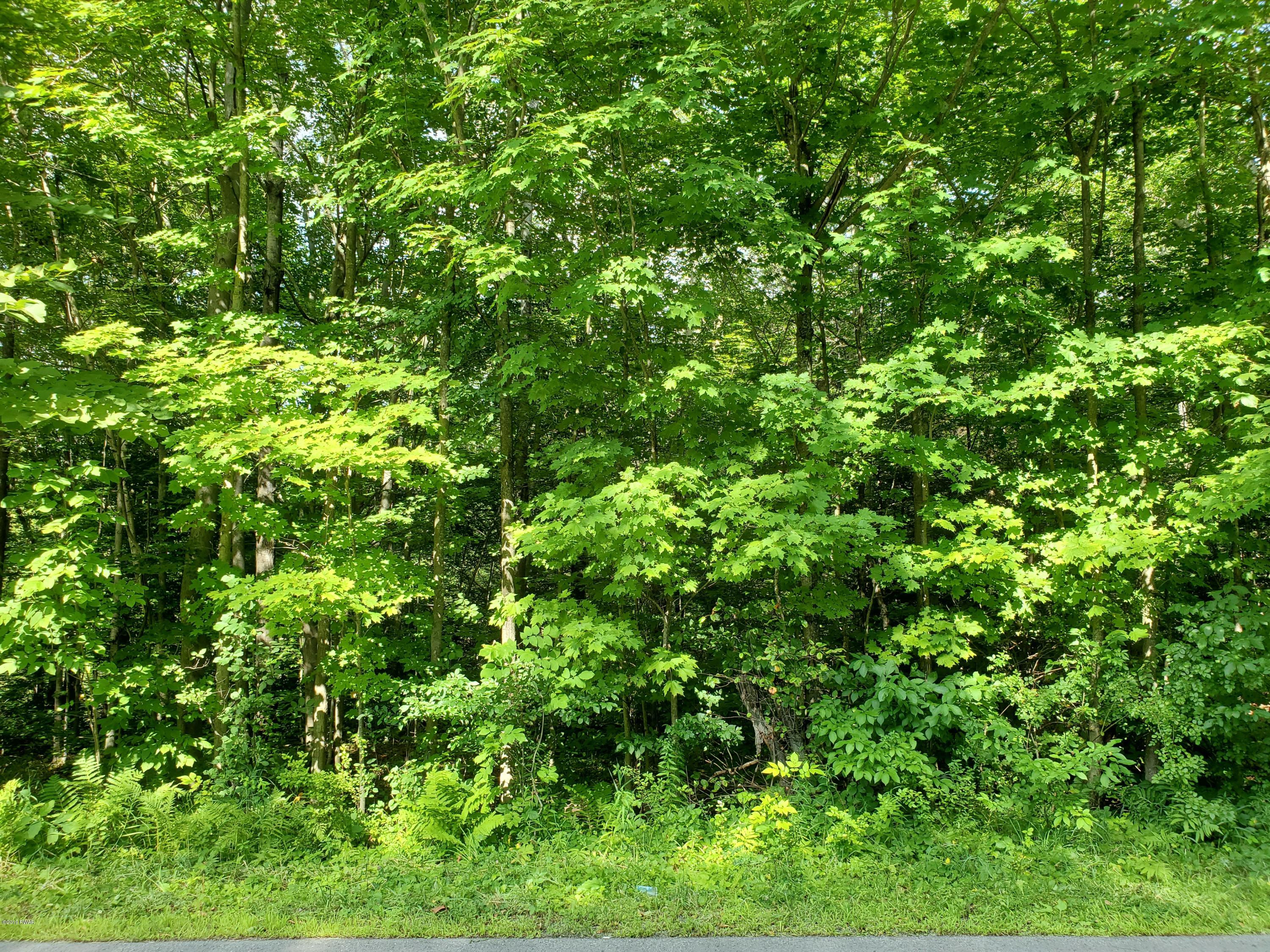Lot 5 Hanlon Rd Lake Lake Ariel, PA 18436 - Photo 2 of 9