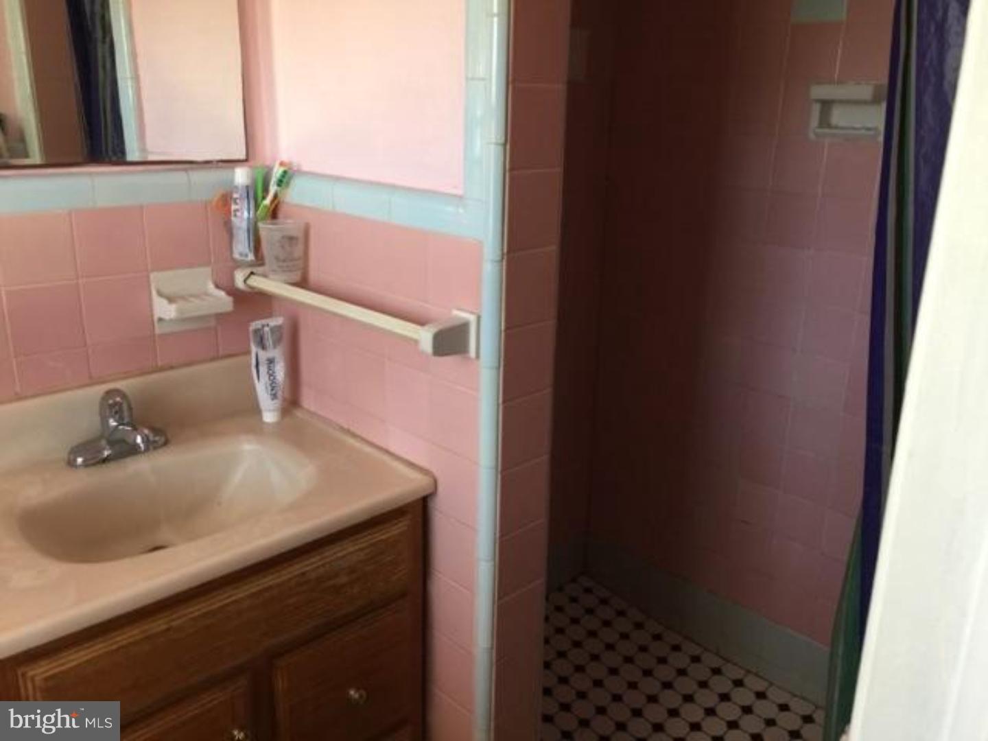 22 Johns Road Cheltenham, PA 19012 - Photo 20 of 21 Bathroom