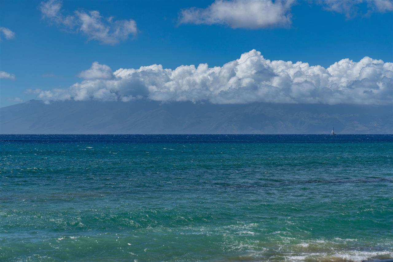 3741 Lower Honoapiilani Road, Unit 202 Lahaina, HI 96761 - Photo 17 of 21 Gallery Image 17