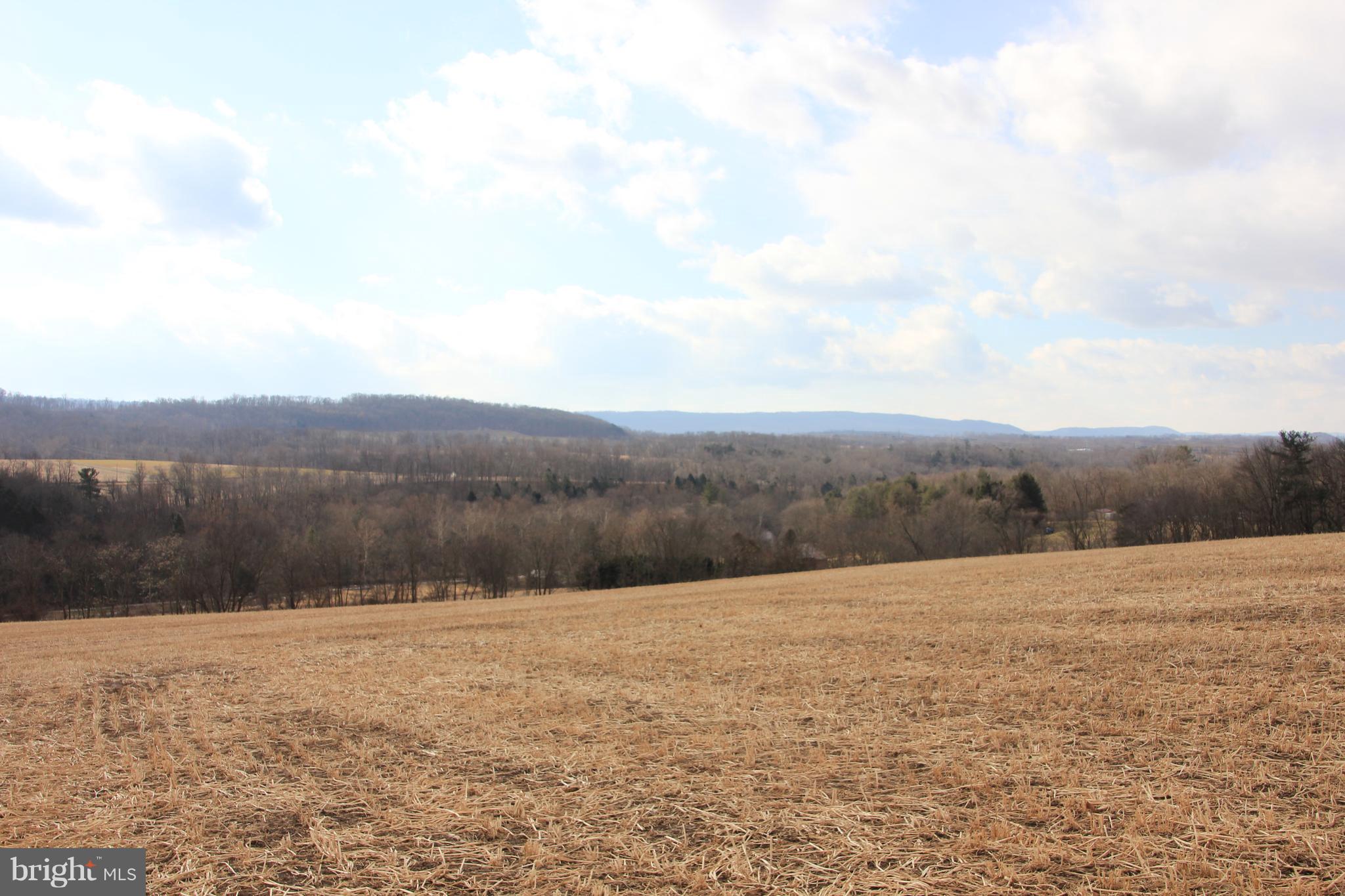 420 Bunker Hill Road Halifax, PA 17032 - Photo 3 of 5 Gallery Image 3