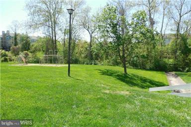 14481 Golden Oak Road Centreville, VA 20121 - Photo 20 of 20 Exterior (Rear)
