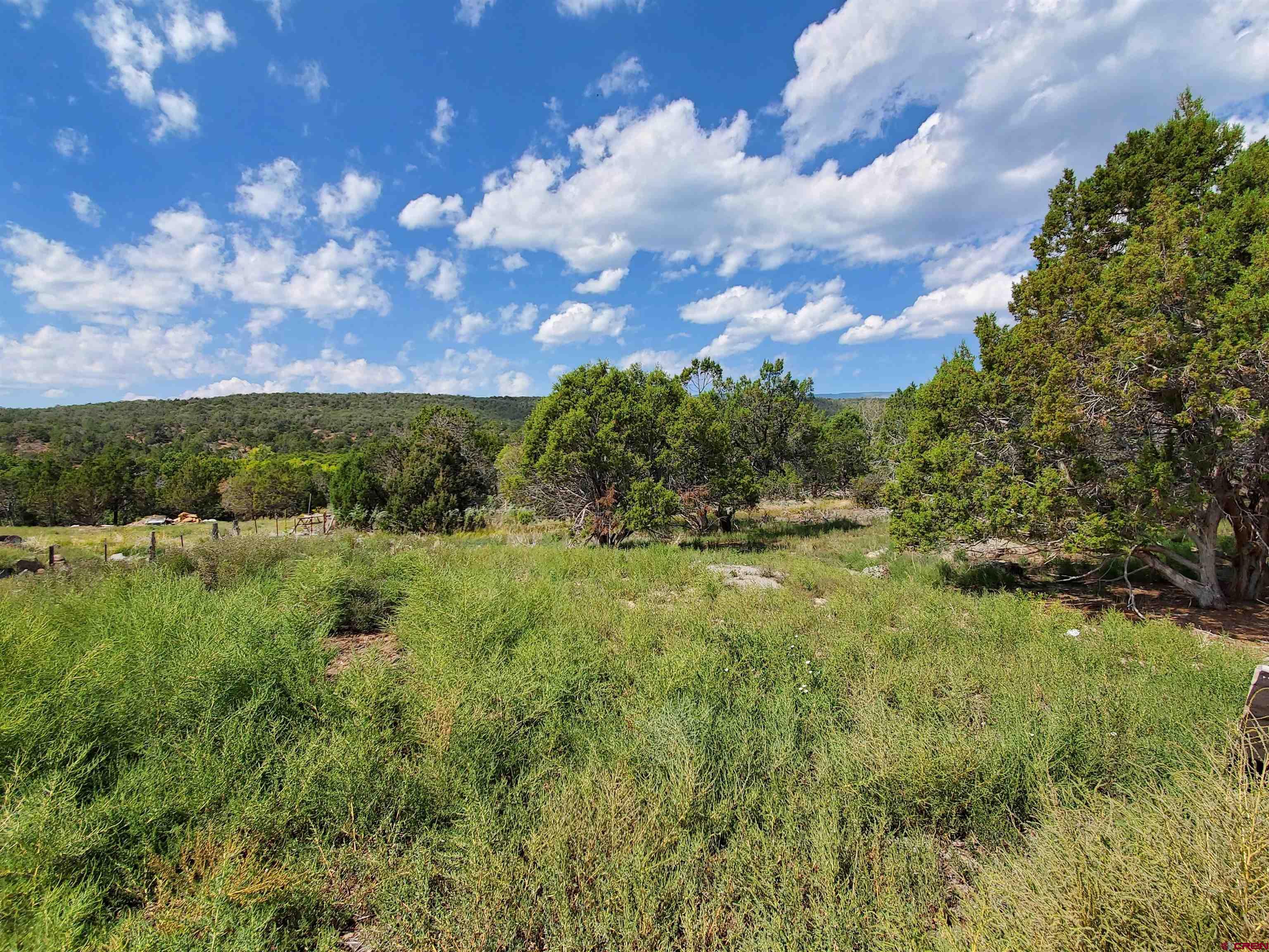19081 Ward Creek Road Cedaredge, CO 81413 - Photo 8 of 15