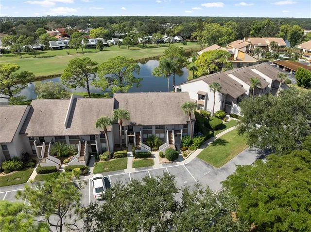 a view of a yard with plants