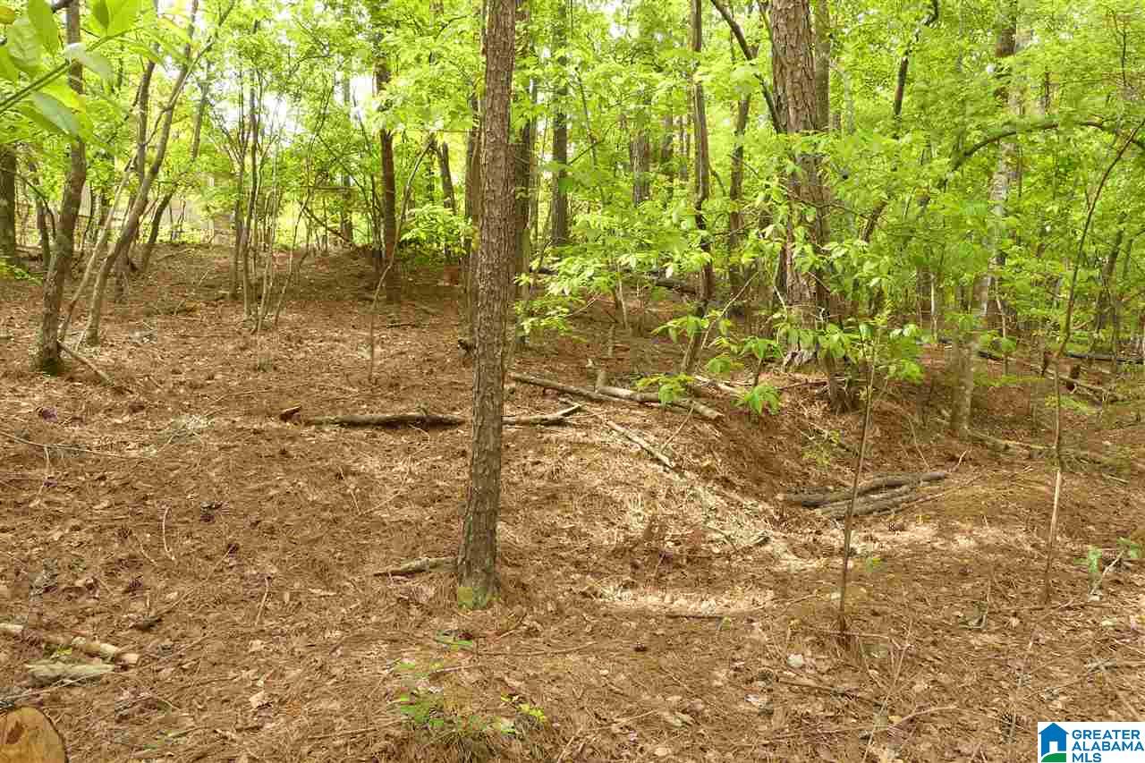 Lot 8 Bluegill Drive, Unit 8 Wedowee, AL 36278 - Photo 5 of 10