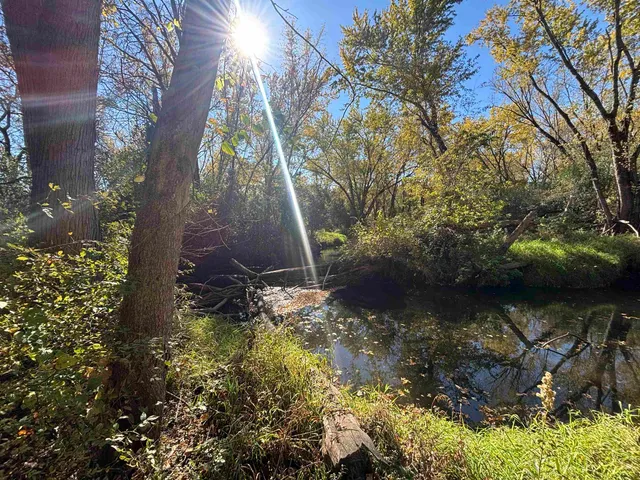 a backyard of a house with lots of green space