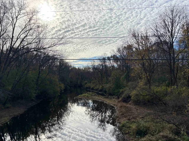 a view of a back yard