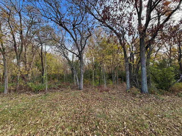 a view of outdoor space with trees