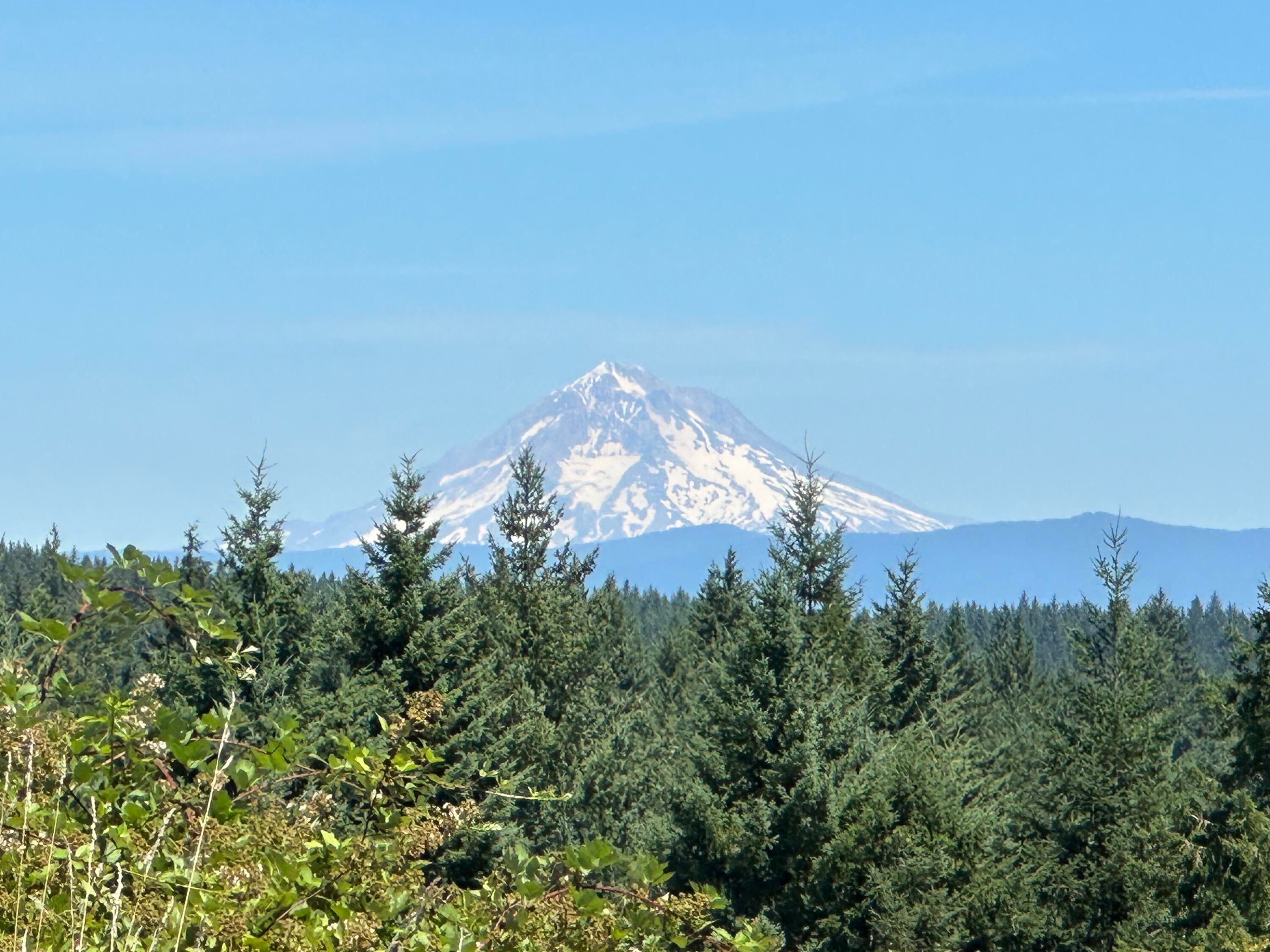 28003 South Gard Road Mulino, OR 97042 - Photo 4 of 43 Mt Hood views can never be obstructed