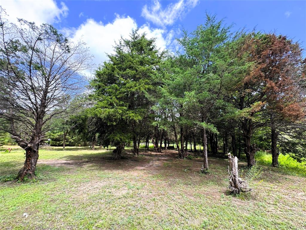 2087 Meadow Road Kerens, TX 75144 - Photo 22 of 28 a ground with lots of trees