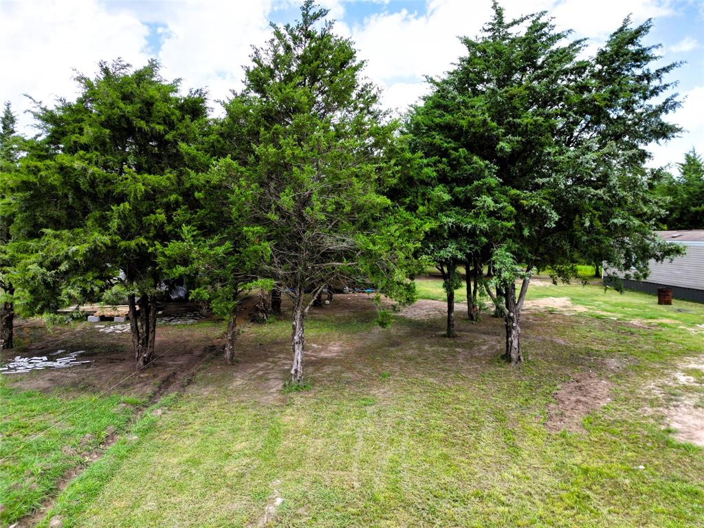 2087 Meadow Road Kerens, TX 75144 - Photo 23 of 28 a view of a garden with a tree