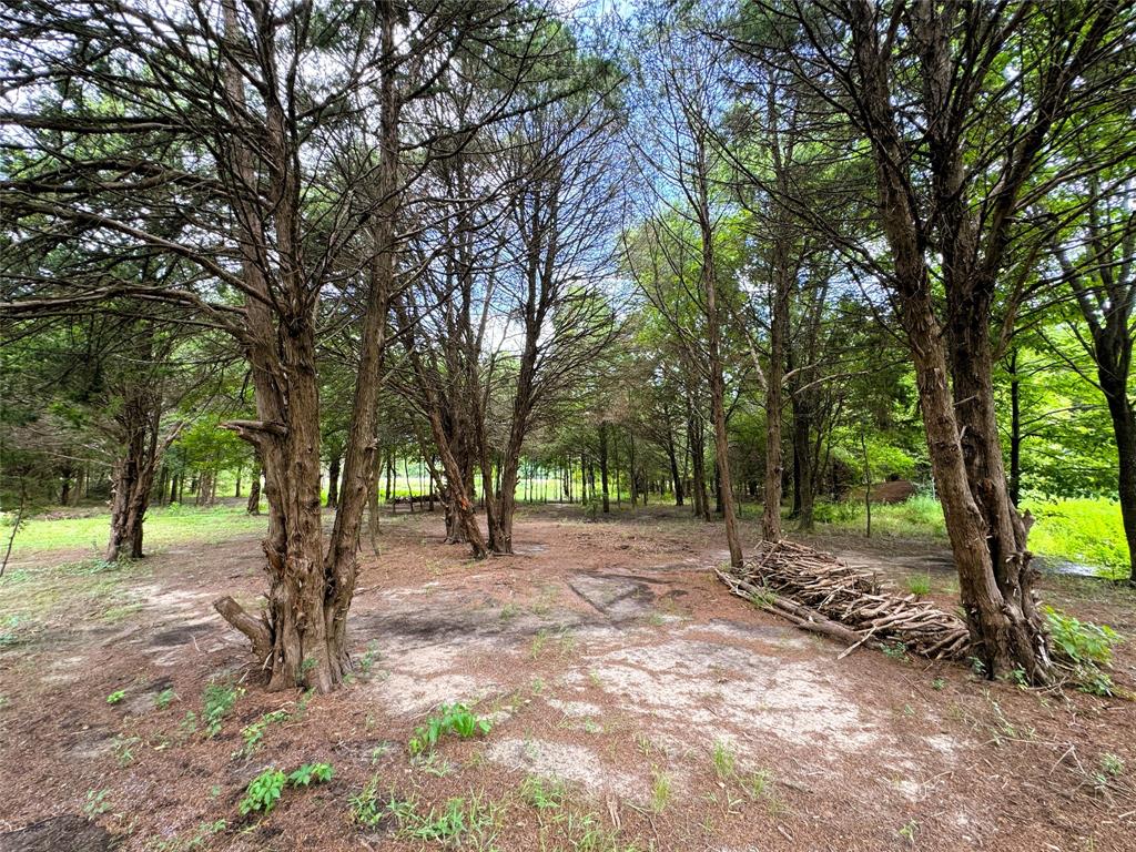 2087 Meadow Road Kerens, TX 75144 - Photo 24 of 28 a view of some trees and tree