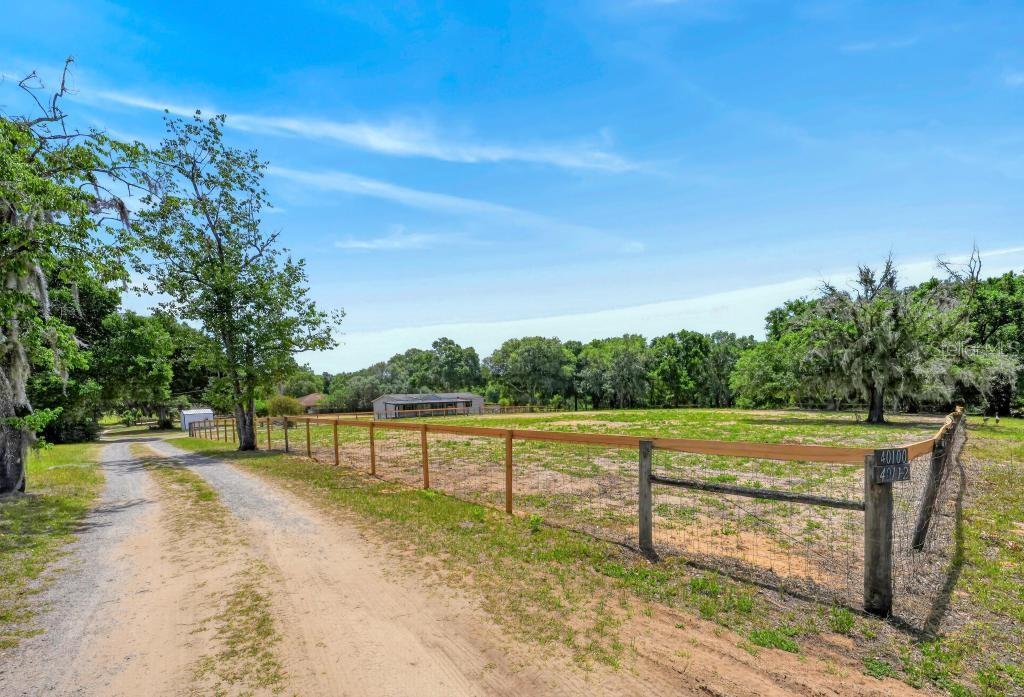 40100 Jim Scotts Road Leesburg, FL 34788 - Photo 61 of 80