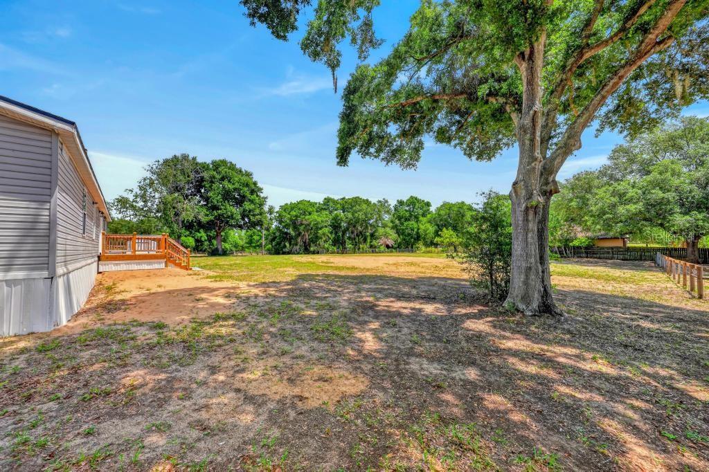 40100 Jim Scotts Road Leesburg, FL 34788 - Photo 66 of 80