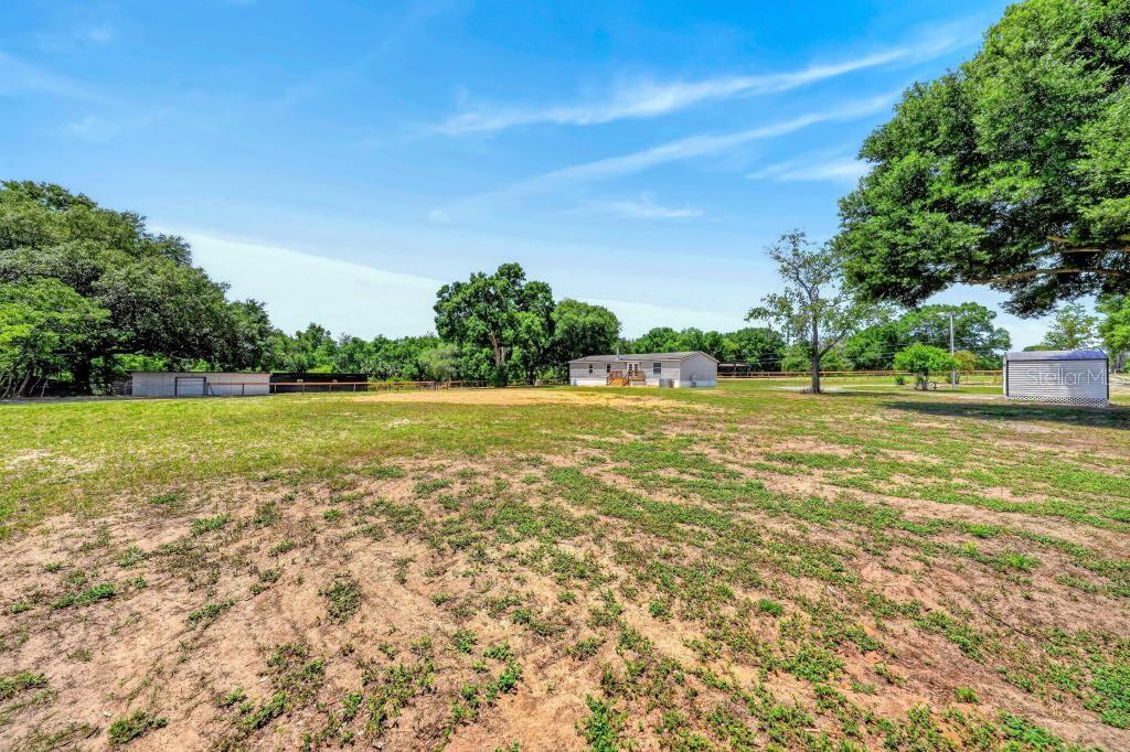 40100 Jim Scotts Road Leesburg, FL 34788 - Photo 7 of 80