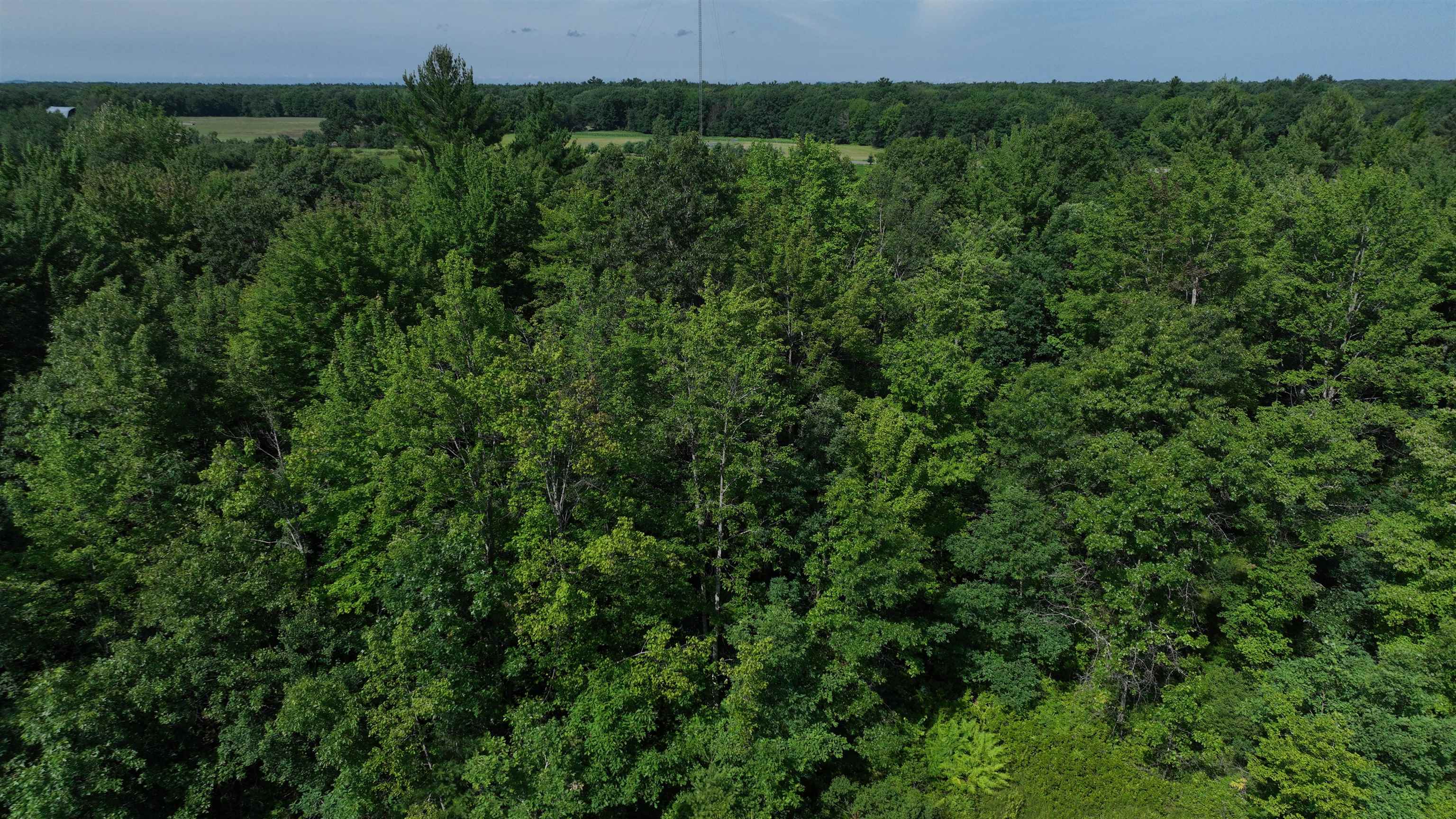 38.85-ac County Road East Pittsville, WI 54466 - Photo 36 of 50