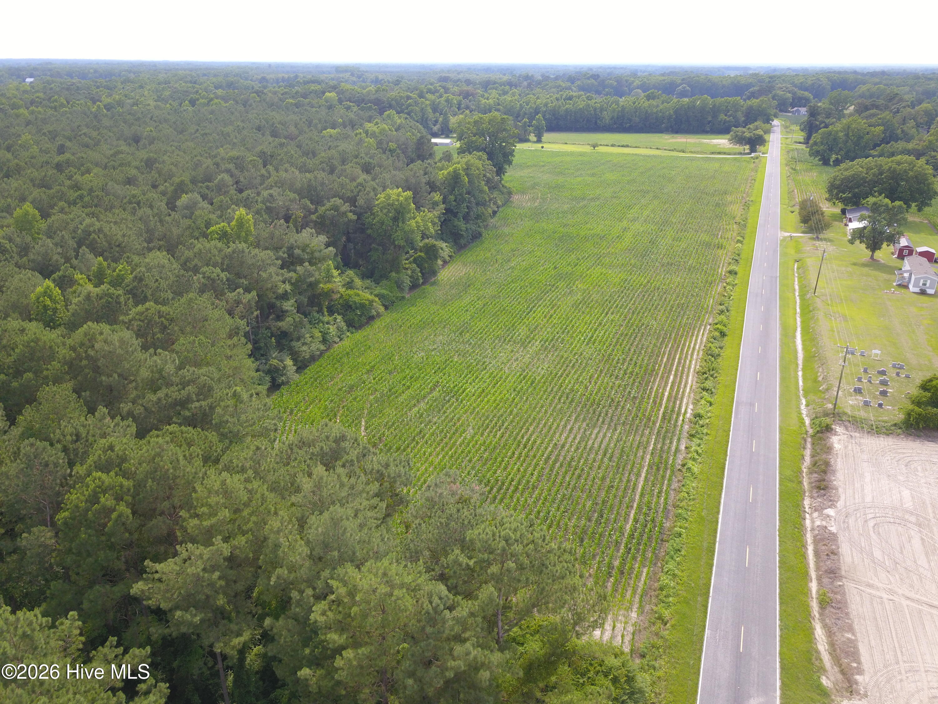 0 Ludie Brown Road Chinquapin, NC 28521 - Photo 4 of 9