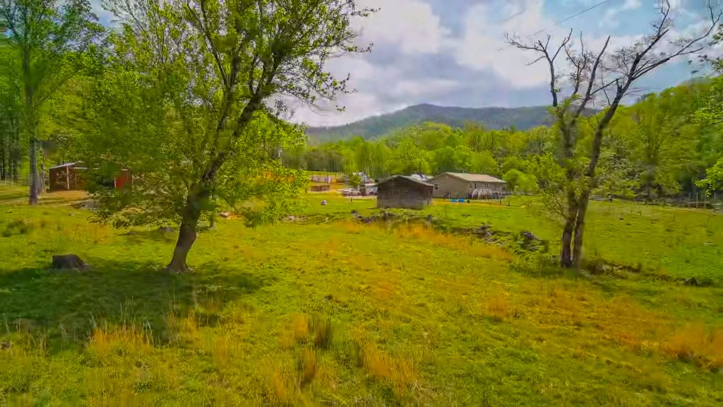 3325 Pack Mountain Road Murphy, NC 28906 - Photo 42 of 69