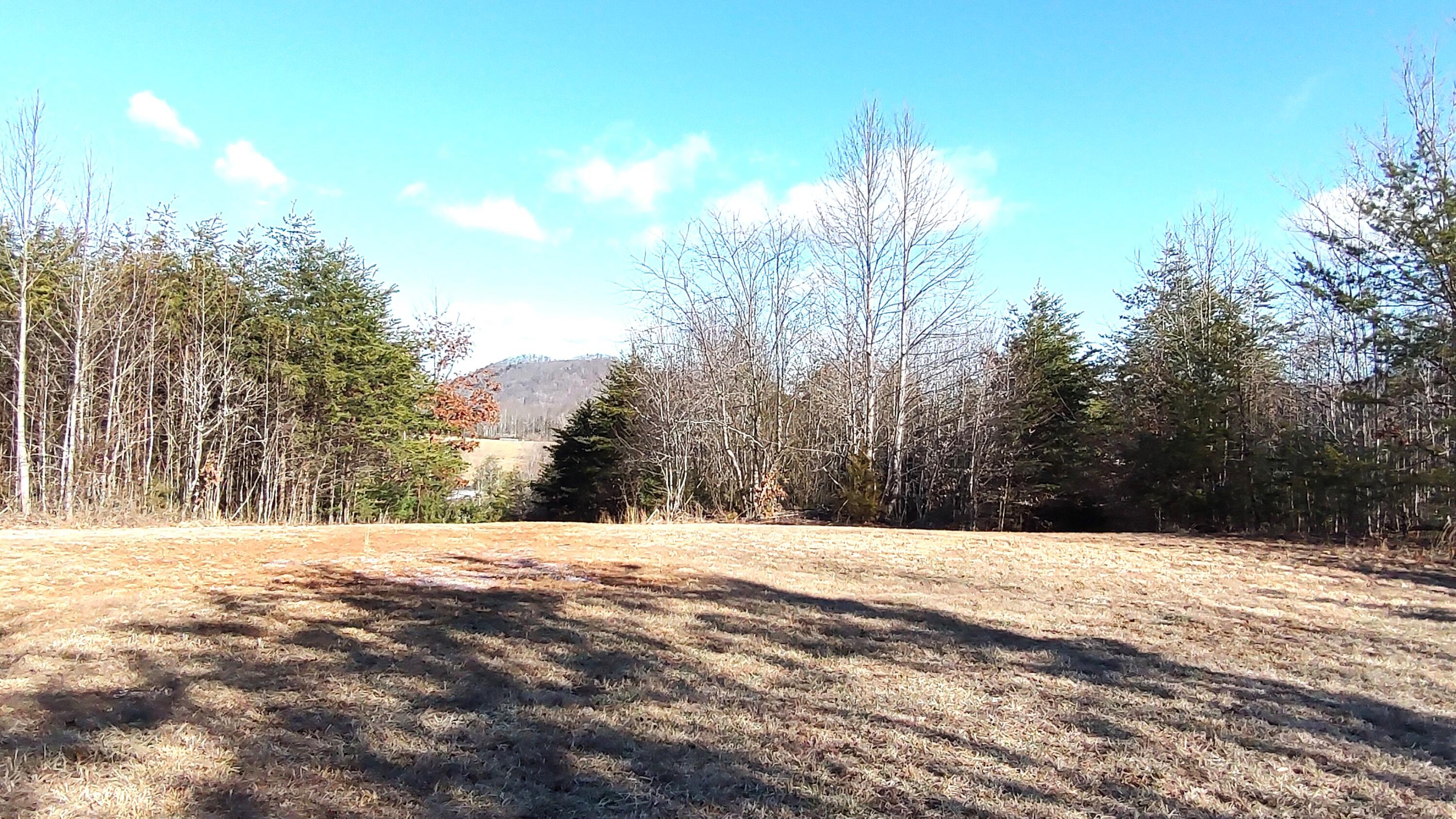 Ingramville Road (4)