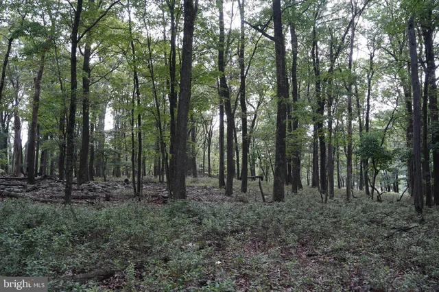 $107,000 | Lot 7 Justin Lane, Great Cacapon, WV 25422