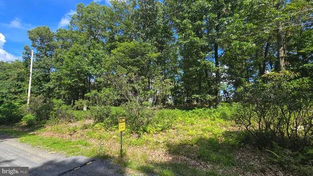 a view of a garden with plants