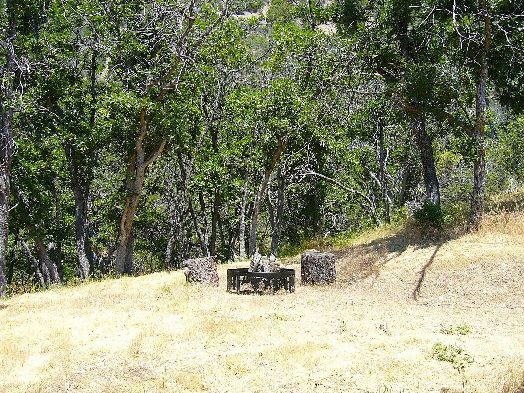 40 Acres Off Scarface Road Gazelle, CA 96034 - Photo 3 of 27 Gallery Image 3