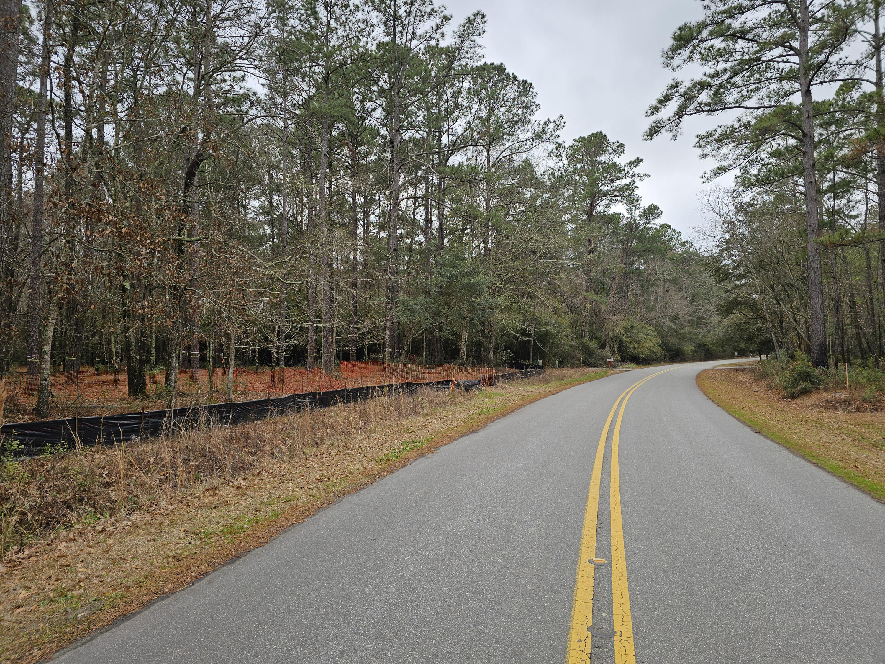 10057 North Carolina Road McClellanville, SC 29458 - Photo 3 of 4 Road