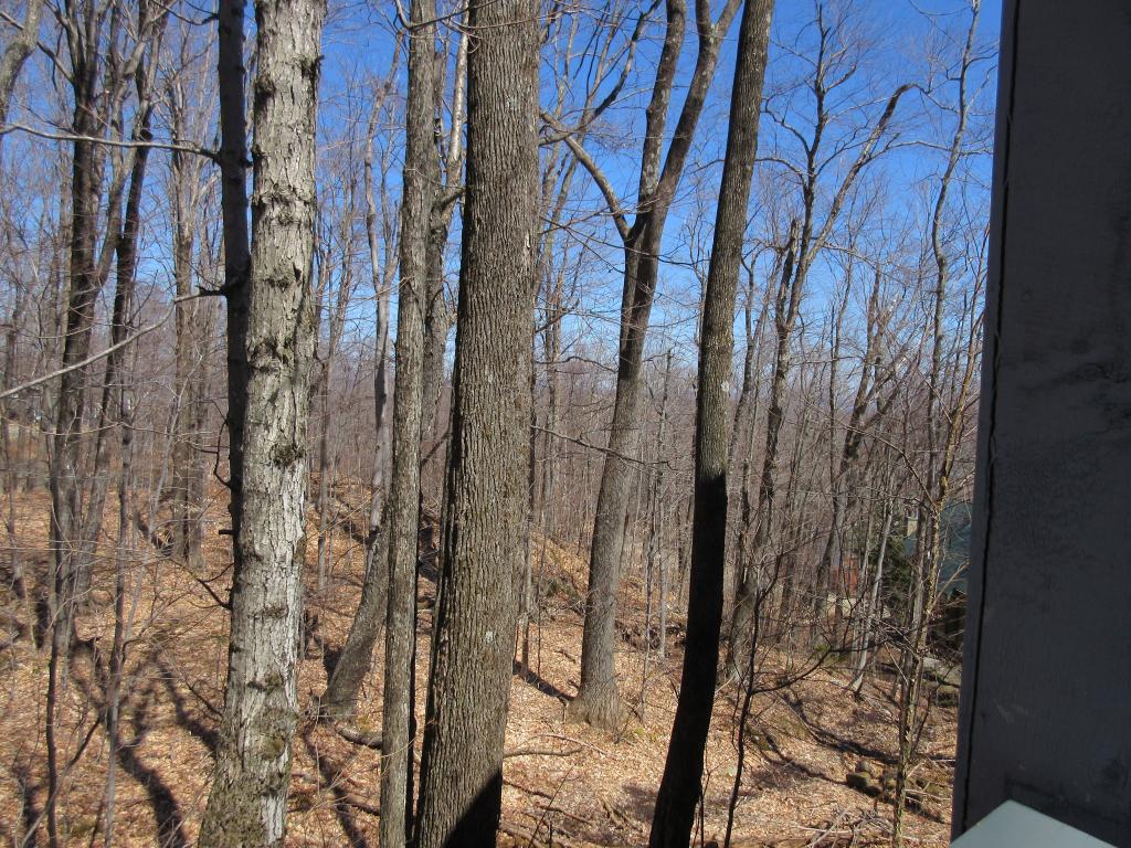 1021 Birch Hill Road Windham, VT 05359 - Photo 26 of 28