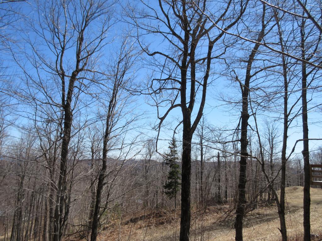 1021 Birch Hill Road Windham, VT 05359 - Photo 27 of 28