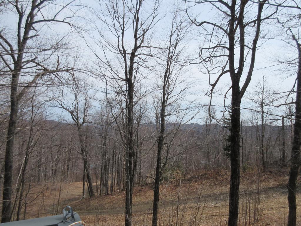 1021 Birch Hill Road Windham, VT 05359 - Photo 7 of 28