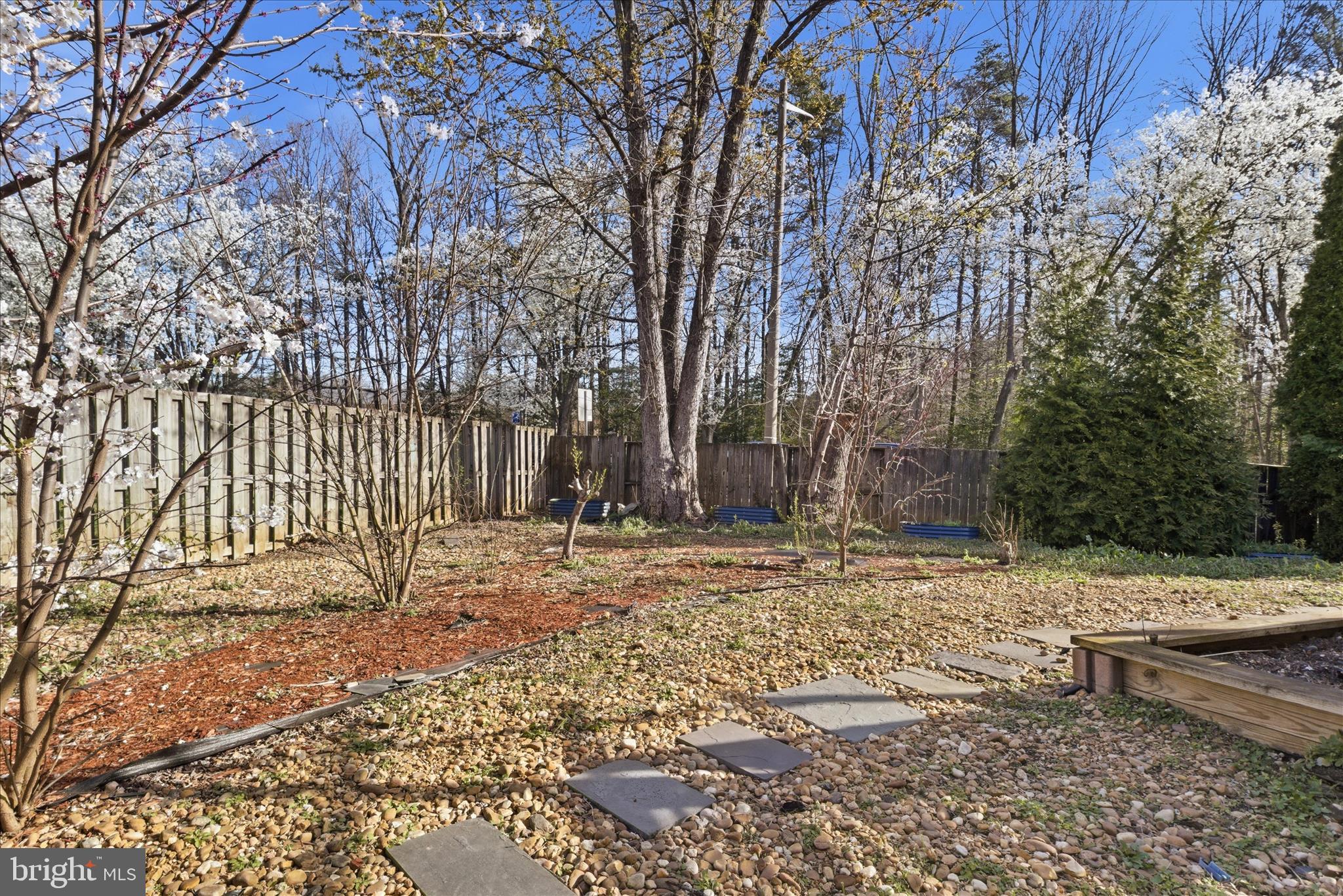 5515 Westcliff Court Burke, VA 22015 - Photo 43 of 47 a view of a backyard with large trees